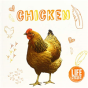 Chicken - Preview