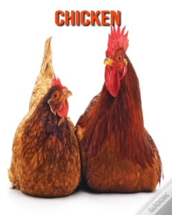 Capa do artigo Chicken