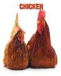 Chicken - Preview