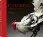 Chicken - Preview