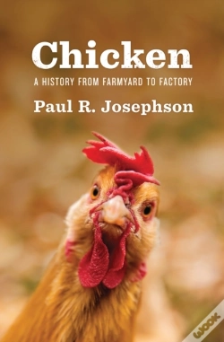 Capa do artigo Chicken