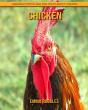 Chicken - Preview