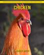Chicken - Preview