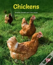 Capa do artigo Chickens