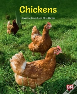 Capa do artigo Chickens