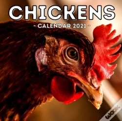 Capa do artigo Chickens Calendar 2021