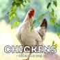 Chickens Calendar 2021 - Preview