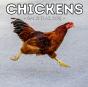 Chickens Calendar 2021 - Preview