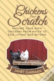 Capa do artigo Chickens From Scratch