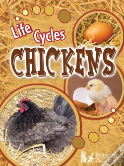 Capa do artigo Chickens