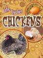 Chickens - Preview