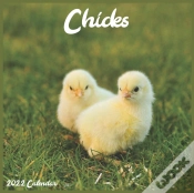 Capa do artigo Chicks 2022 Calendar