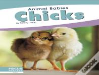 Chicks