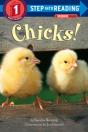 Chicks! - Preview