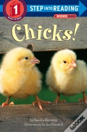 Capa do artigo Chicks!