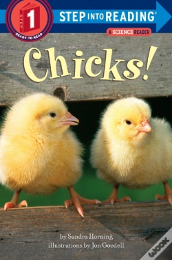 Capa do artigo Chicks!