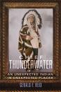 Chief Thunderwater - Preview