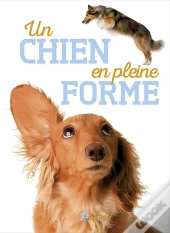 Chien En Pleine Forme (Un)