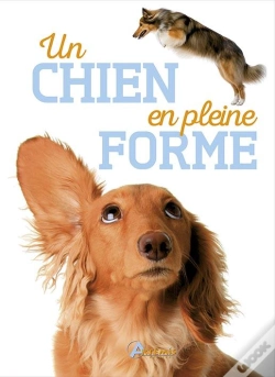 Capa do artigo Chien En Pleine Forme (Un)