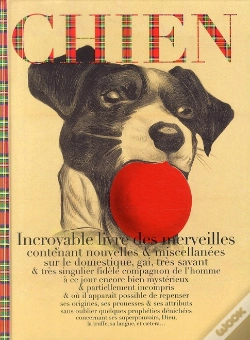 Capa do artigo Chien, Incroyable Registre Des Archives, Nouvelles Et Miscellanées