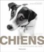 Chiens - Preview