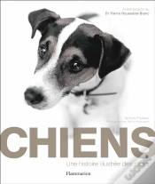 Capa do artigo Chiens