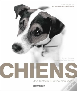 Capa do artigo Chiens