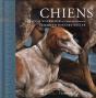 Chiens - Preview