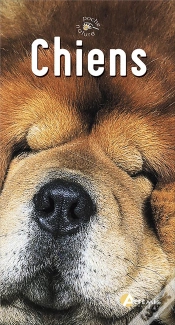 Capa do artigo Chiens