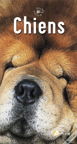 Capa do artigo Chiens