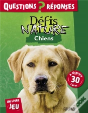 Capa do artigo Chiens