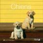 Chiens - La Collection - Preview