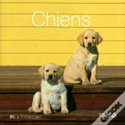 Capa do artigo Chiens - La Collection