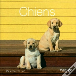 Capa do artigo Chiens - La Collection