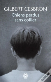 Capa do artigo Chiens Perdus Sans Collier