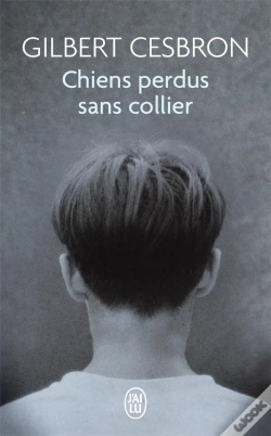 Capa do artigo Chiens Perdus Sans Collier