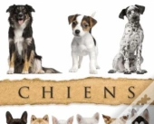 Chiens