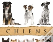 Capa do artigo Chiens