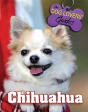 Chihuahua - Preview