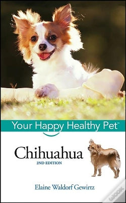 Capa do artigo Chihuahua