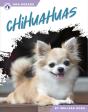 Chihuahuas - Preview