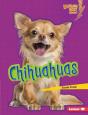 Chihuahuas - Preview
