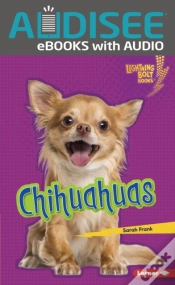 Capa do artigo Chihuahuas