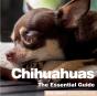 Chihuhuas - Preview