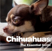 Chihuhuas