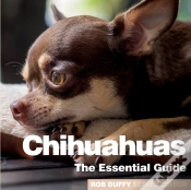 Capa do artigo Chihuhuas