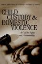 Child Custody And Domestic Violence - Preview