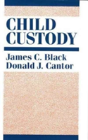 Child Custody - Preview
