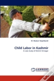 Capa do artigo Child Labor In Kashmir