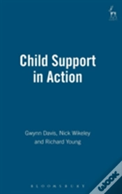Capa do artigo Child Support In Action